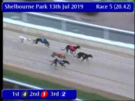 igb greyhound results|greyhound results shelbourne park tonight.